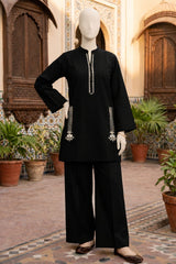 Elegant Embroidered 2 Piece Co-Ord Set