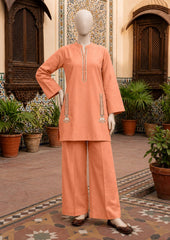 Elegant Embroidered 2 Piece Co-Ord Set